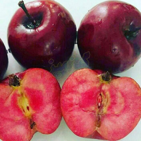 photo_2016-07-31_20-09-35